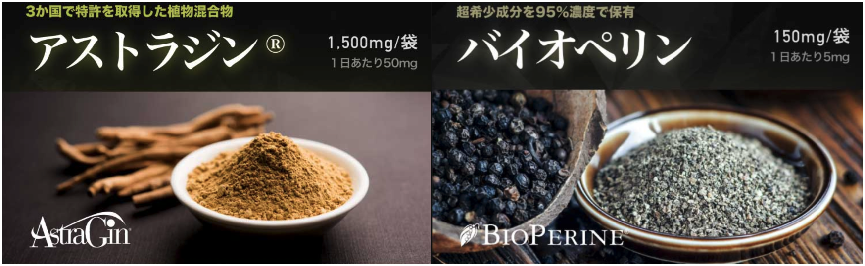 テストコアNO3