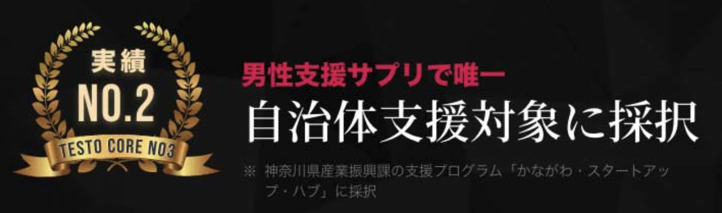 テストコアNO3
